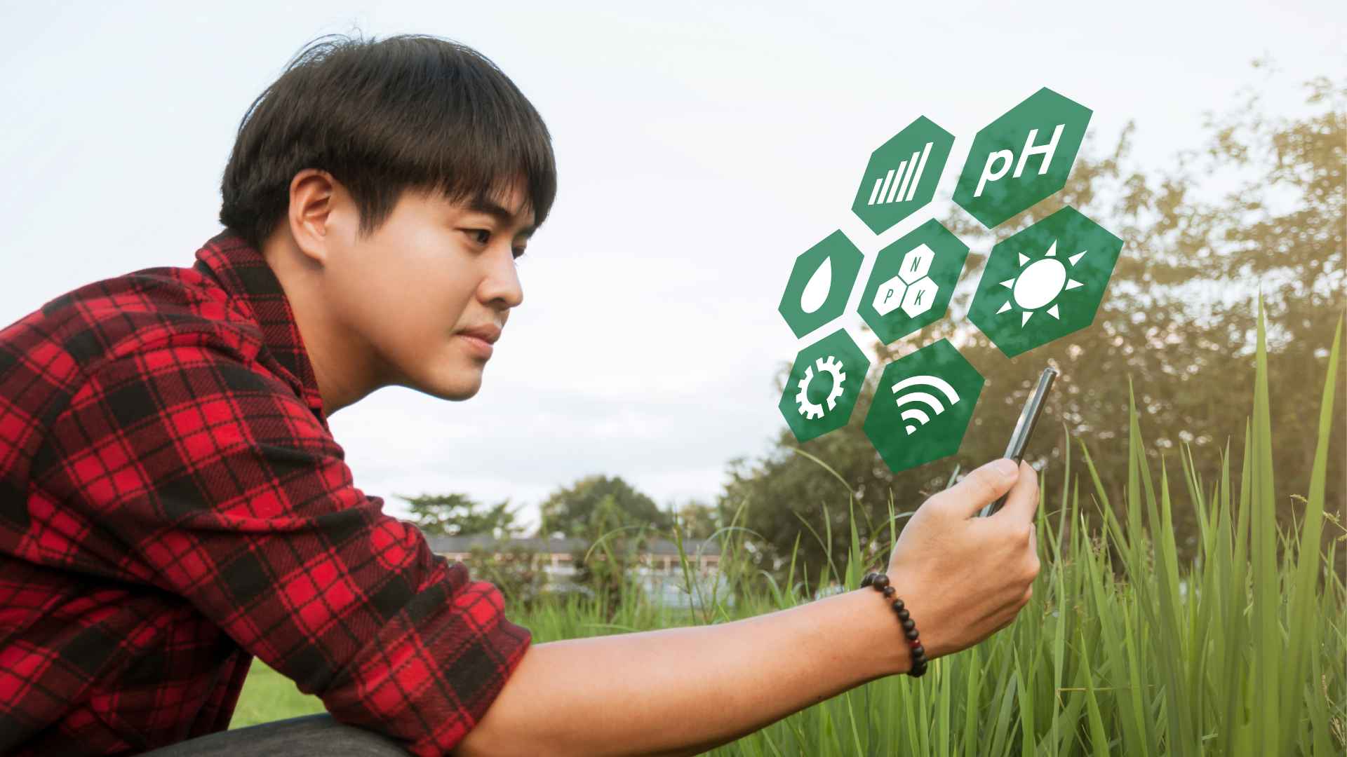 plant phenotyping software