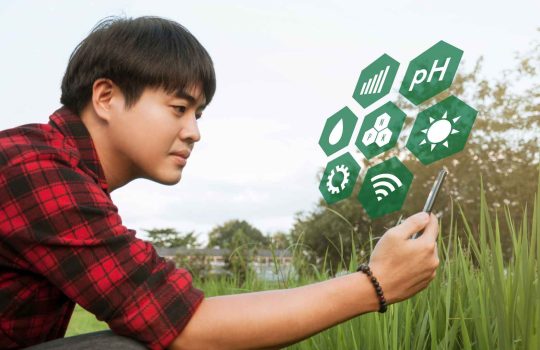 plant phenotyping software2
